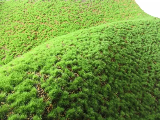 Tapete de musgo falso para parede, musgo verde, relva, musgo artificial para decoração de parede